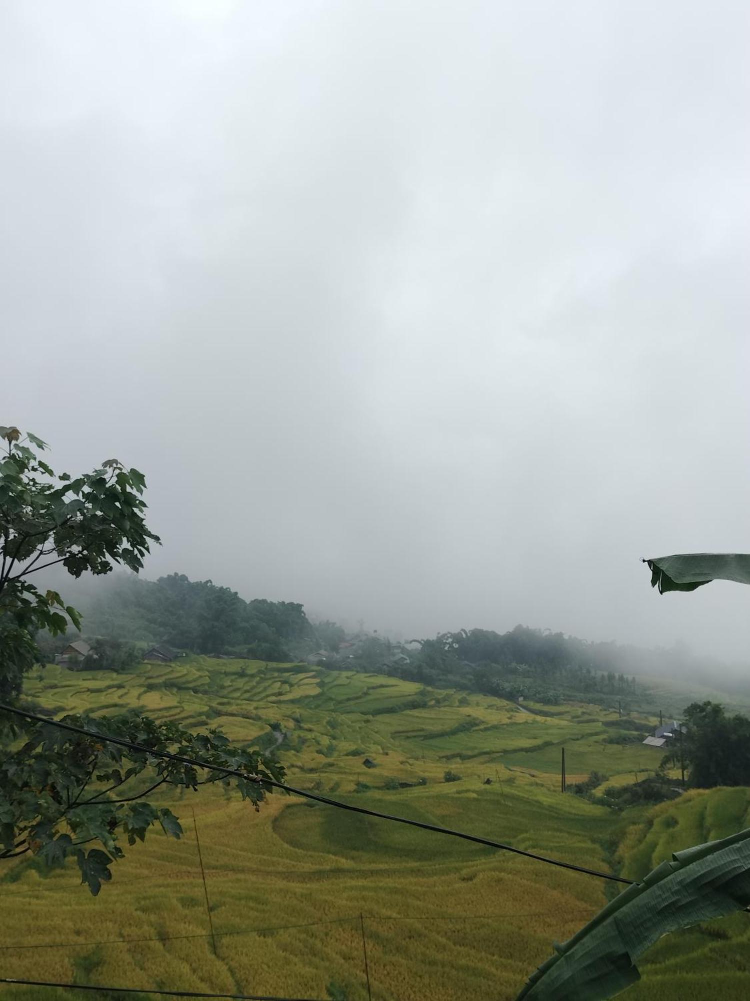 Flying Horse B & B Sapa Exterior foto